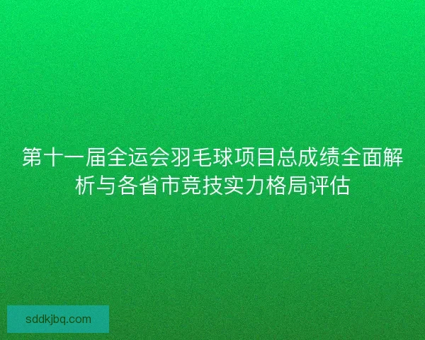 第十一届全运会羽毛球项目总成绩全面解析与各省市竞技实力格局评估