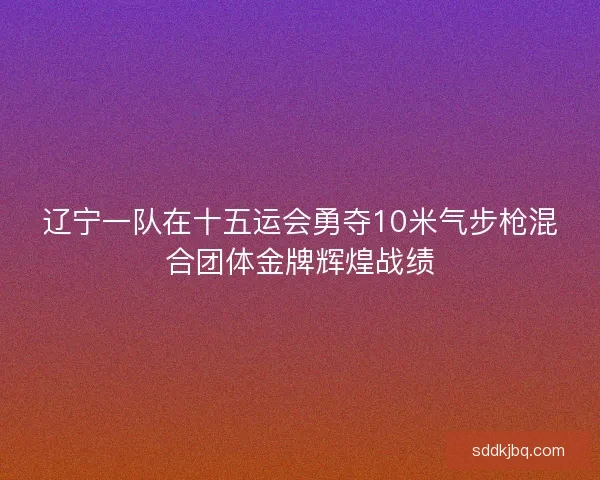 辽宁一队在十五运会勇夺10米气步枪混合团体金牌辉煌战绩