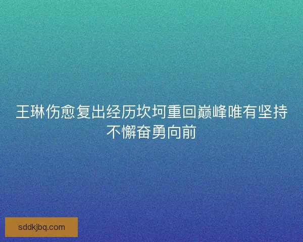 王琳伤愈复出经历坎坷重回巅峰唯有坚持不懈奋勇向前